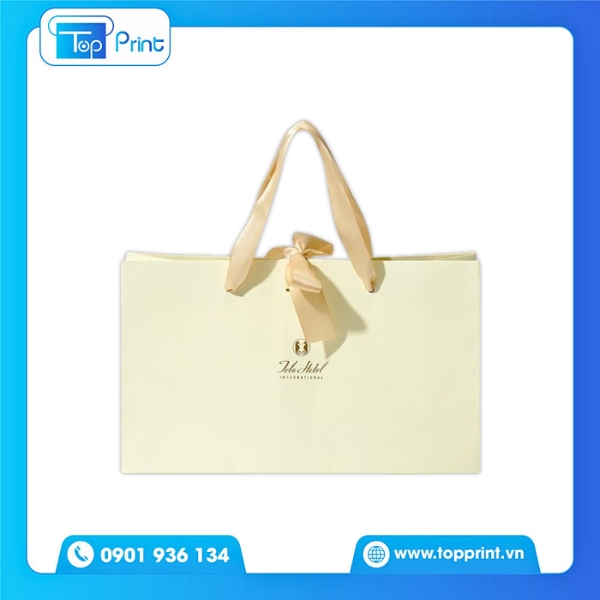 Túi Giấy Quai Lụa Sang Trọng Cho Quà Tặng 