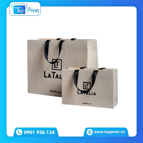 Mẫu Túi Giấy Dây Ruy Băng Phong Cách Minimalism Thời Thượng 