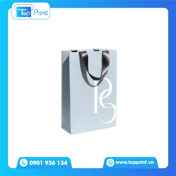 Mẫu Túi Giấy Dây Ruy Băng In Logo Theo Yêu Cầu Chuyên Nghiệp