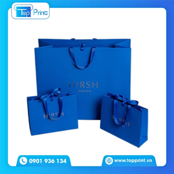 Mẫu Túi Giấy Dây Ruy Băng Luxury – Giải Pháp Đóng Gói Quà Cao Cấp