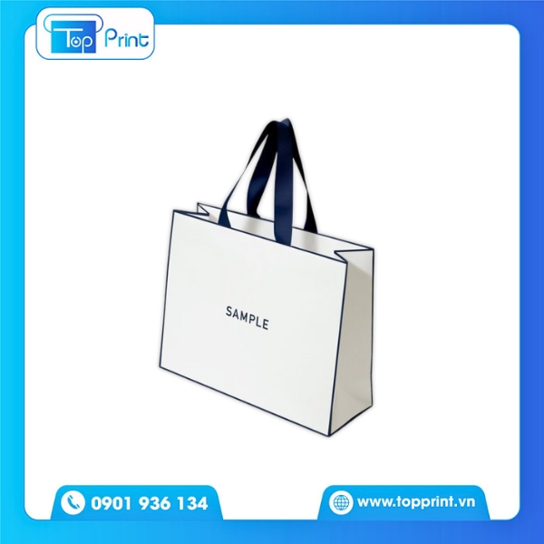 Mẫu Túi Giấy Dây Ruy Băng Phối Dây Lụa Màu Nổi 