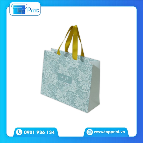 Mẫu Túi Giấy Dây Ruy Băng Đựng Sản Phẩm Skincare Dịu Dàng