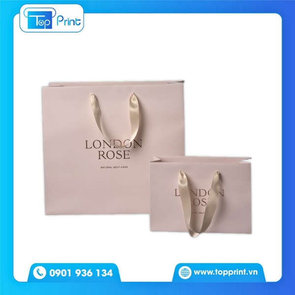 Mẫu Túi Giấy Dây Ruy Băng Phối Màu Độc Đáo Theo Xu Hướng