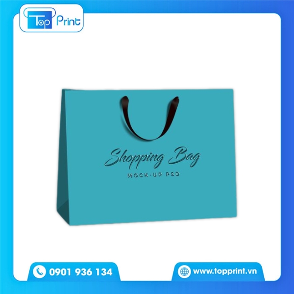 Mẫu Túi Giấy Sang Trọng Shopping Bag 