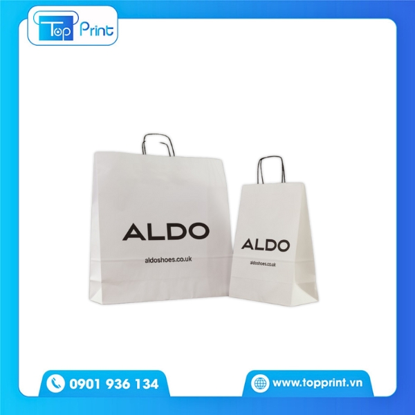 Túi Giấy Aldo