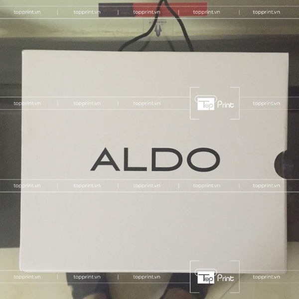 Thiết Kế Túi Giấy Aldo Phù Hợp Mọi Mặt Hàng