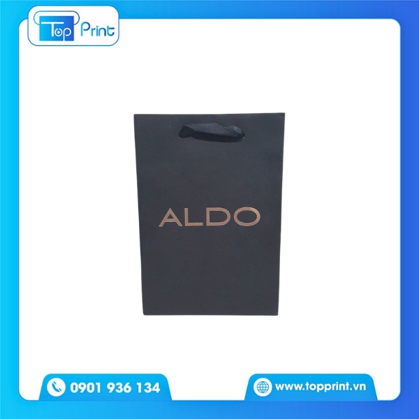 Thiết Kế Túi Giấy Aldo Tối Giản Hiện Đại