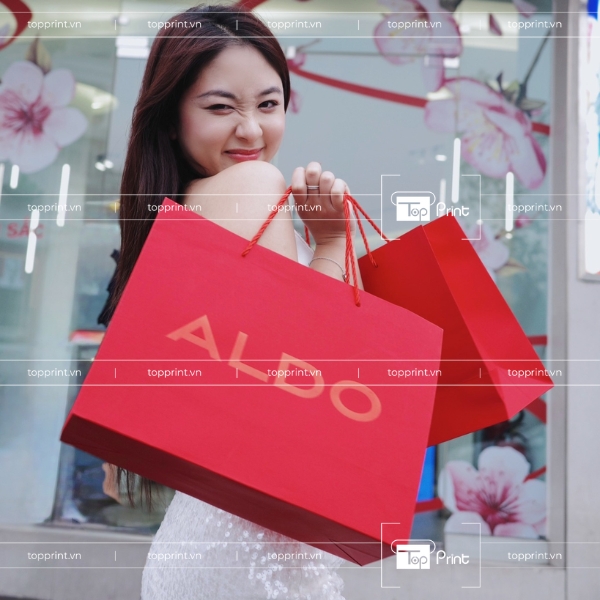 Túi Giấy Aldo Với Tay Cầm Dây Dù Bền Chắc