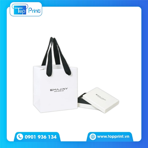 Túi giấy vuông đựng quà