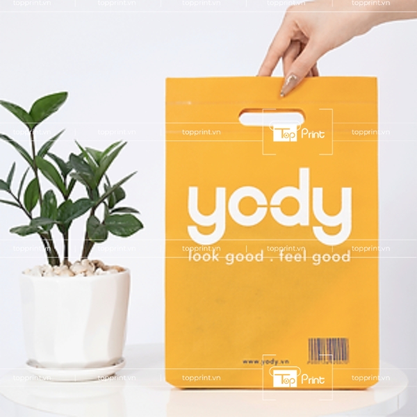 Túi Giấy Yody – Sự Lựa Chọn Hàng Đầu Cho Thương Hiệu Thời Trang 