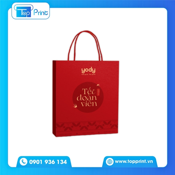 Mẫu Túi Giấy Yody In Ấn Độc Đáo Và Sáng Tạo