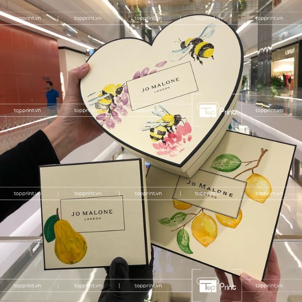 Hộp Giấy In Logo Cho Startup – Giải Pháp Từ Topprint