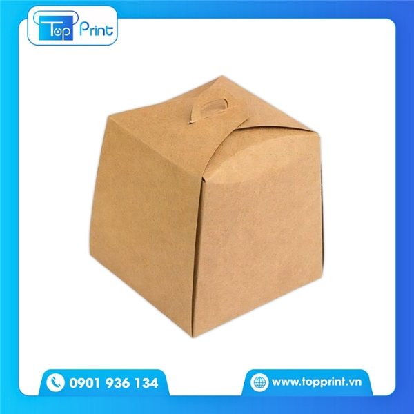 Hộp Giấy Kraft Nắp Gài Đựng Đồ Ăn Mang Đi