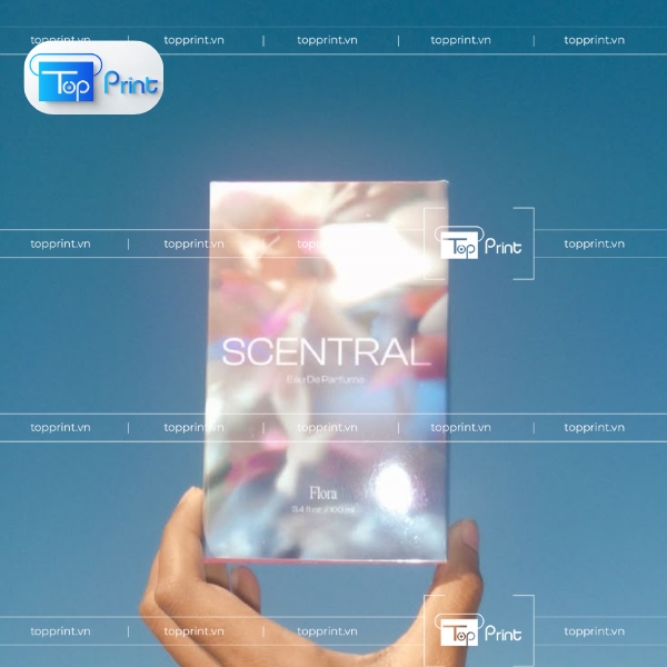 TopPrint Sản Xuất Hộp Giấy Metalize Số Lượng Lớn 