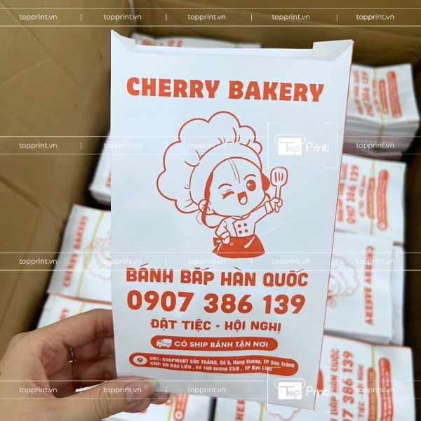  In Túi Giấy Số Lượng Lớn – Tiết Kiệm Chi Phí