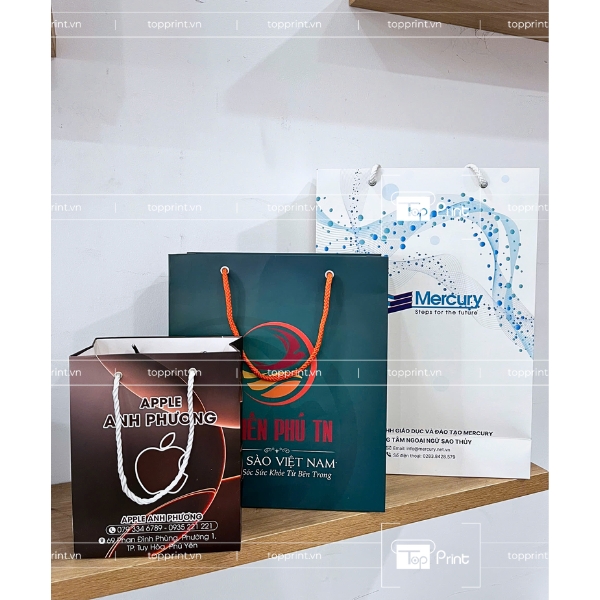In Túi Giấy Theo Yêu Cầu Giá Rẻ Tại TP.HCM & Hà Nội 