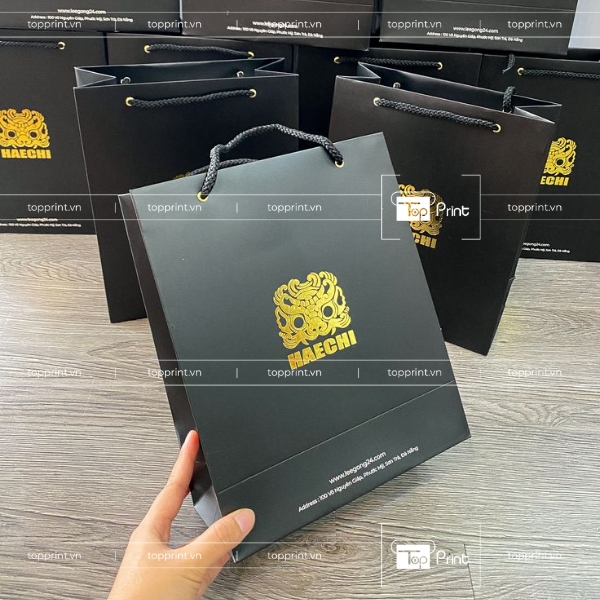 Mẫu túi giấy cán màng mờ chữ ép kim Haechi