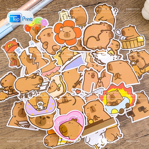 Mẫu Sticker Capybara Thiết Kế Riêng Tại Xưởng In TopPrint
