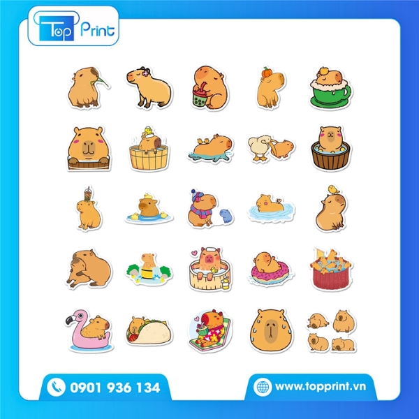 Mẫu Sticker Capybara Dán Laptop Cực Đẹp