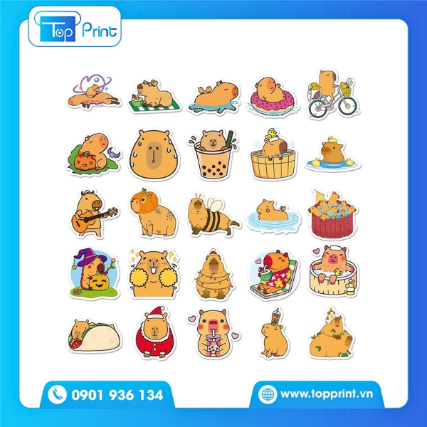 Mẫu Sticker Capybara Dán Vali Du Lịch