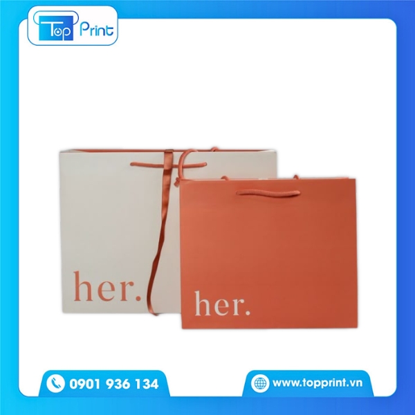 Túi Giấy Đựng Quần Áo In Theo Bộ Nhận Diện Thương Hiệu