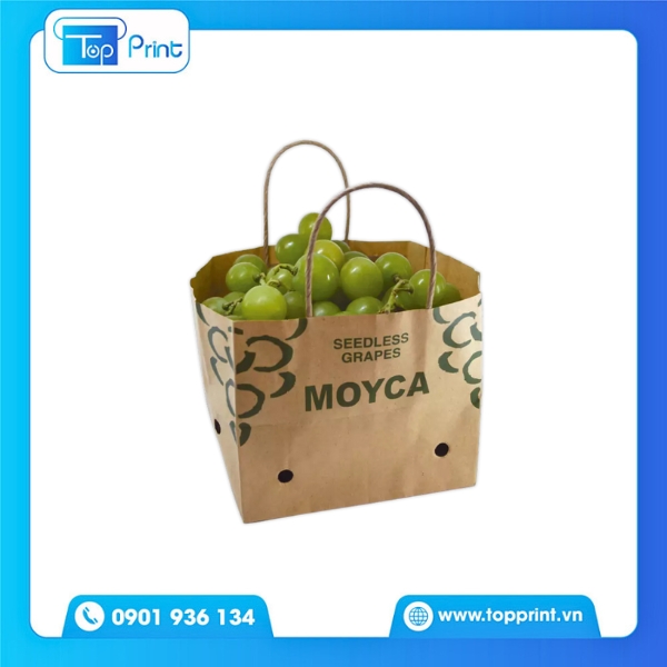 Túi Giấy Đựng Trái Cây Kraft Nâu Có Quai Xách Tiện Lợi