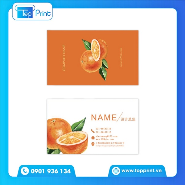 Mẫu Card Visit Trái Cây Đẹp, In Chất Lượng Cao