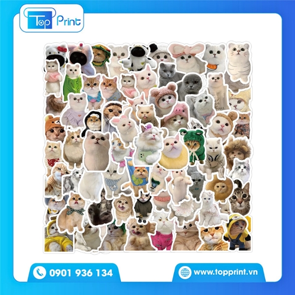 Mẫu Sticker Cute Mèo Con Dễ Thương