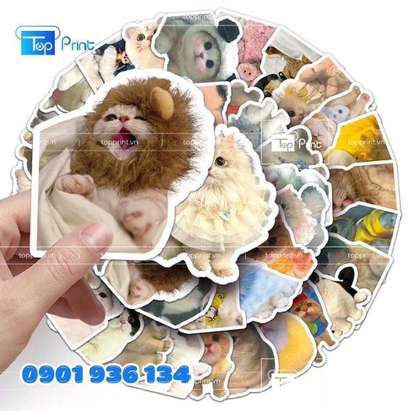 Sticker dán mũ bảo hiểm dễ thương phong cách Hàn  