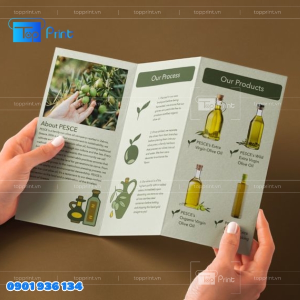 Mẫu brochure sản phẩm độc quyền – In giấy mỹ thuật cao cấp