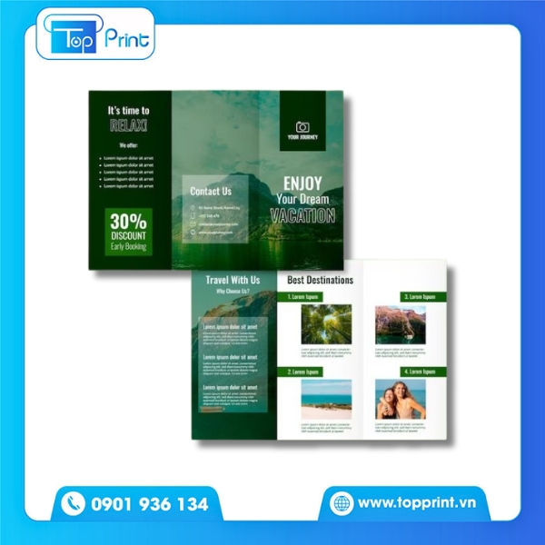 Brochure giới thiệu sản phẩm gấp cửa độc đáo – In theo yêu cầu
