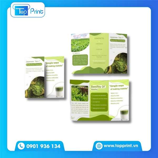 Brochure giới thiệu sản phẩm nội thất – In C300 cán mờ
