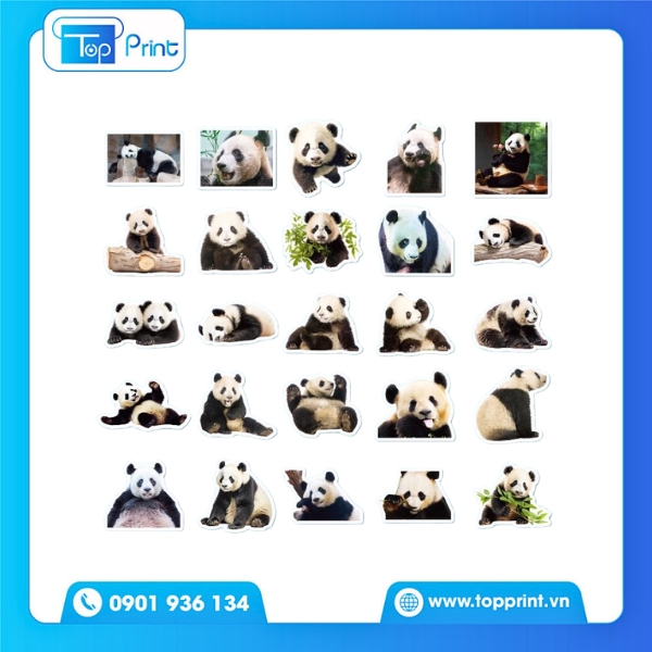 Gấu B&eacute;o & Đồ Ăn &ndash; Bộ Sticker In Tỉ Mỉ
