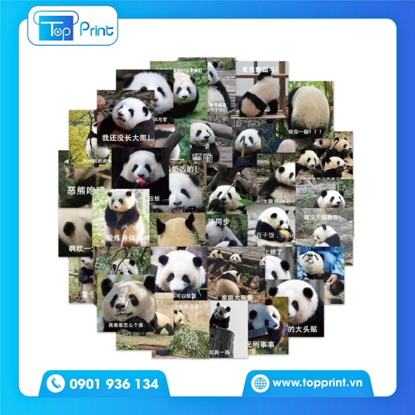 Gấu B&eacute;o Ph&aacute; C&aacute;ch &ndash; Thiết Kế & In Theo Bộ