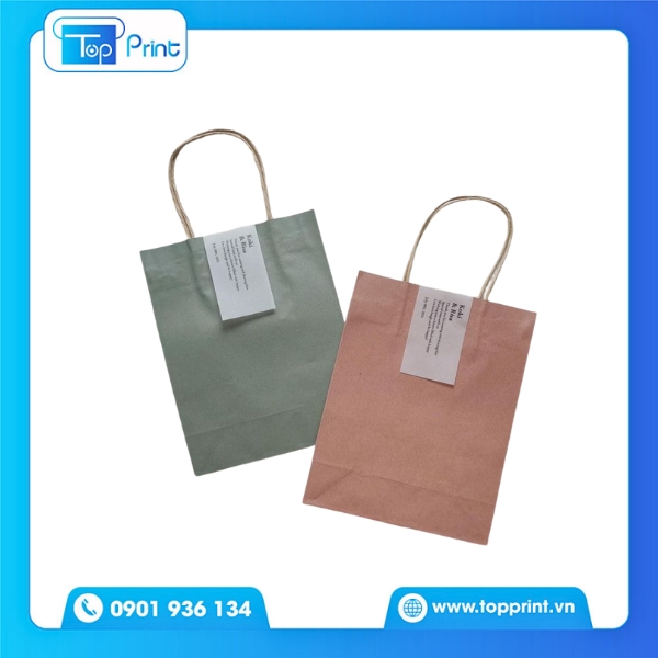 Túi giấy trơn in offset đẹp tinh tế