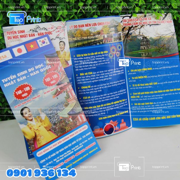 Tờ brochure du học được thiết kế và in ấn tại Topprint
