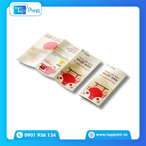 Brochure du học trình bày nội dung rõ ràng, dễ hiểu