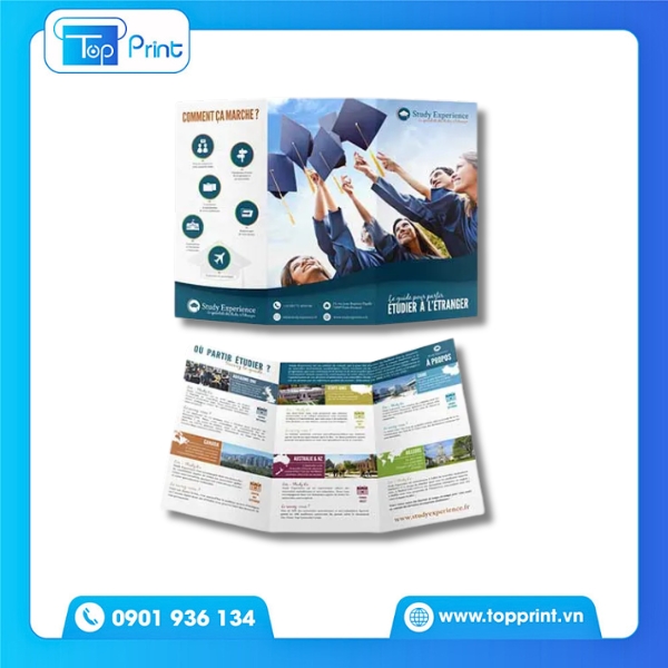 Dịch vụ in brochure du học giá rẻ, đẹp mắt