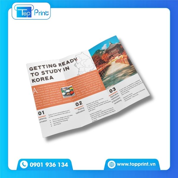 Brochure du học thiết kế sang trọng, cao cấp