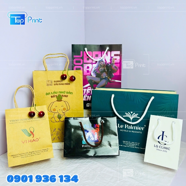Mẫu túi giấy ấn tượng được in tại công ty chúng tôi