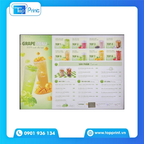 Menu nước ép tươi - Thiết kế in màu A4