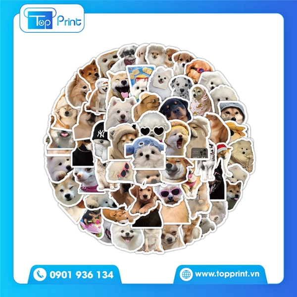 Sticker con ch&oacute; in theo y&ecirc;u cầu tại Topprint