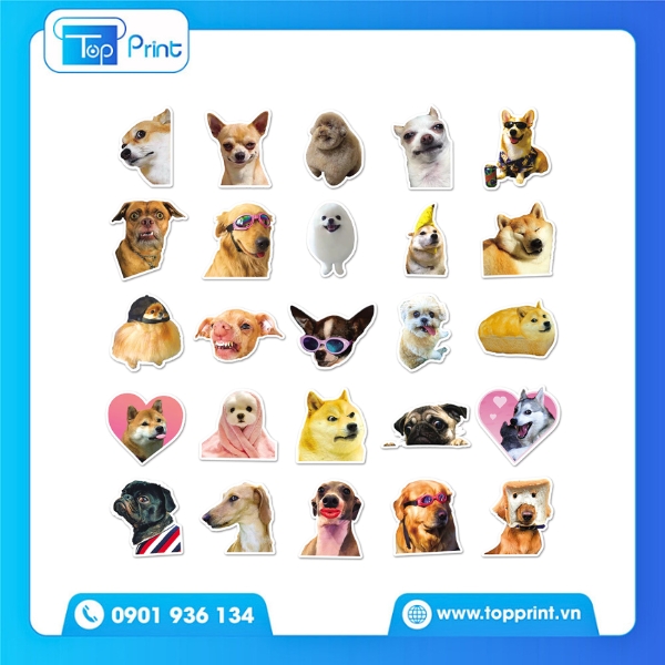 Sticker con ch&oacute; in ấn đẹp, gi&aacute; rẻ tại Topprint