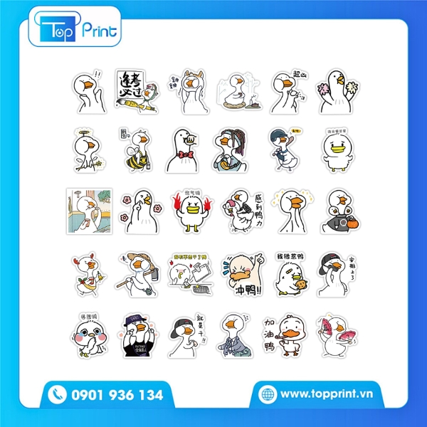 Mẫu in sticker con vịt d&aacute;n chai nước