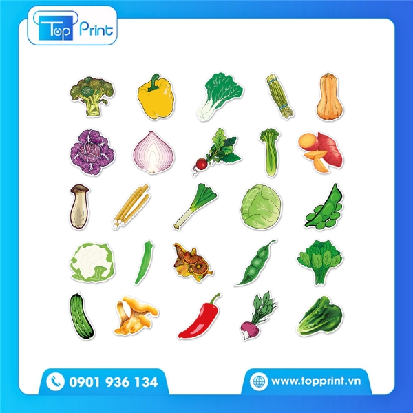 Tem d&aacute;n sticker hoa quả handmade in gi&aacute; rẻ