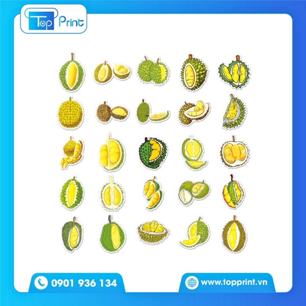Sticker hoa quả in offset m&agrave;u sắc tươi s&aacute;ng