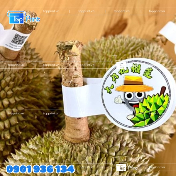 Mẫu Tem Nhãn Cho Sầu Riêng Đông Lạnh