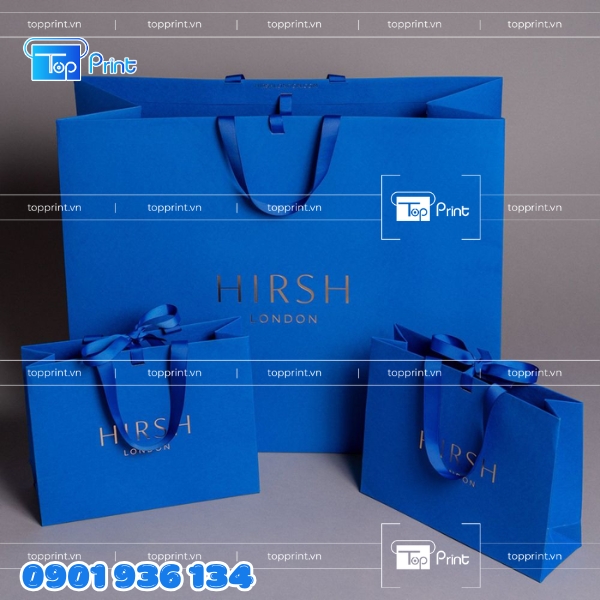 Túi giấy xanh đứng – in logo giữa túi nổi bật