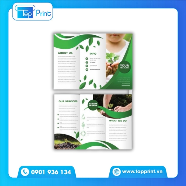 Brochure phân bón hỗ trợ marketing nông nghiệp