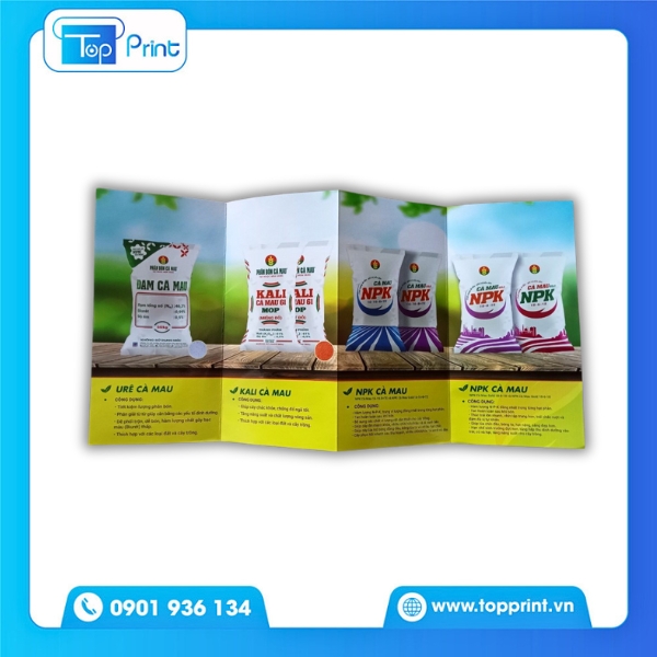 Thiết kế mẫu brochure phân bón hữu cơ sáng tạo